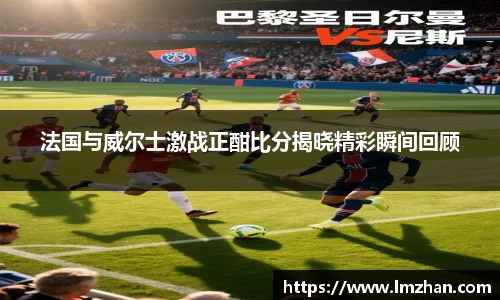 法国与威尔士激战正酣比分揭晓精彩瞬间回顾